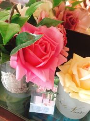 -SCENT BOUTIQUE
