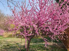 -石家庄正定国际机场-T2航站楼