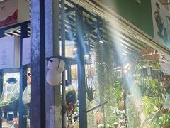 -Bioloark生物方舟生态礼品店