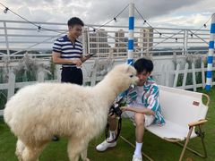 -Blue Concept Cafe&Farm·關於藍