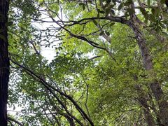 -萍乡武功山风景名胜区