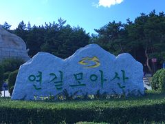 -帽儿山国家森林公园