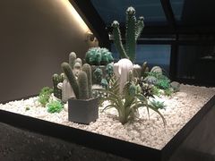 -大树餐厅(红旗街万达店)