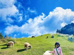 -神户市立六甲山牧场