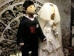 -济州岛泰迪熊博物馆