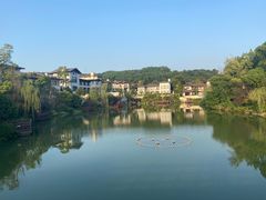 -铁山坪森林公园