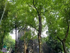-莫干山风景区