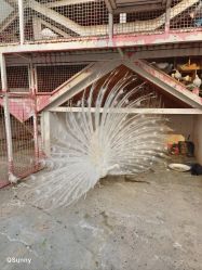 -金庭庄园酒店彩虹厅