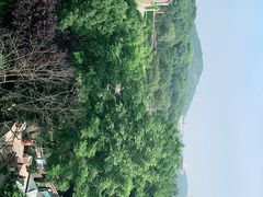 -上海佘山世茂艾美酒店