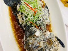 -骏莱海鲜鱼港(五角场店)