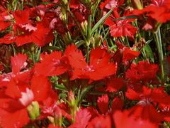 -宜昌富力皇冠假日酒店·咖啡1号西餐厅