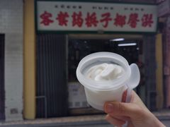 -洪馨椰子