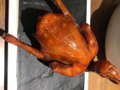红烧鸽-大鸽饭(岗顶店)