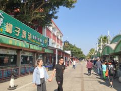 -大湾区中央湿地公园-十九涌