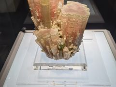 -安徽省地质博物馆