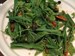 -眉州东坡·熊猫主题餐厅(枫蓝店)