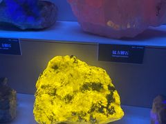 -湖南省地质博物馆