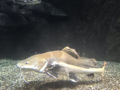 -太平洋海底世界