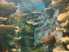 -福州罗源湾海洋世界旅游区