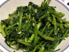 空心菜叶-壹盏灯(惠农店)