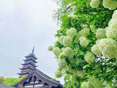 -常熟方塔园