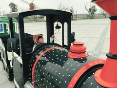 -荷兰花海