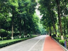 -龙头寺公园