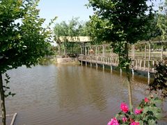 -同銮特种养殖场·龙虾垂钓