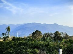 -霸王岭国家森林公园