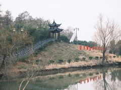 -渌洋湖湿地公园