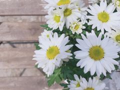 -半天妖烤鱼(芝罘万达店)