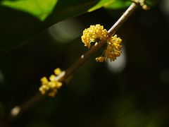 -颐和园