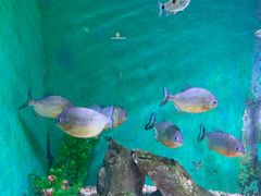 -常州海昌海洋探索馆