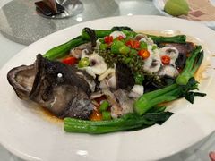 大丰收蒸海斑-寻味顺德·顺峰山庄(大良店)