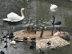 -黔灵山公园