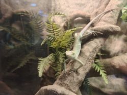 -酷嗒动物文化乐园(cutezoo西溪乐天城店)