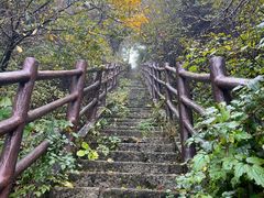 -老君山风景名胜区