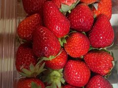 -兴隆点心店(新北街店)