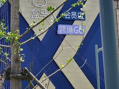 -盒马X会员店(上海森兰商都店)