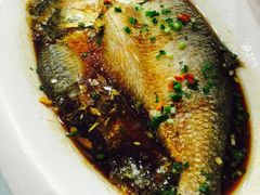 九重天大饭店-九重天大饭店(北大街店)