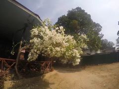 -东姑阿都拉曼海洋公园