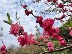 -苏州上方山国家森林公园