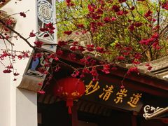 -乌山风景区