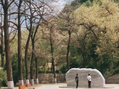 -延安杨家岭革命旧址