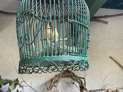 -三鹰之森吉卜力美术馆