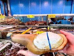 -四海之家(蛇口店)