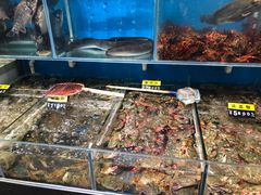 水产区-老万烧烤(典逸心洲店)