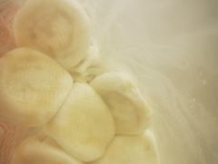 -石饮红星包子(中山路店)