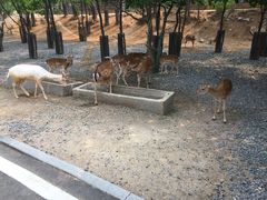 -济南野生动物世界