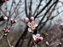-龙泉峪长城